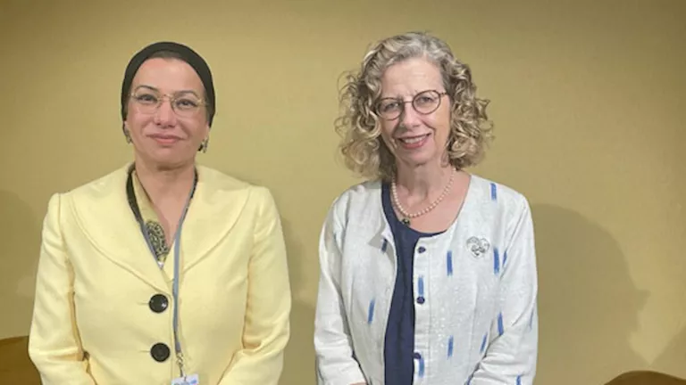 البيئة: جهود مصرية هامة للحد من استخدام الأكياس البلاستيكية ذات الاستخدام الواحد البيئة: جهود مصرية هامة للحد من استخدام الأكياس البلاستيكية ذات الاستخدام الواحد