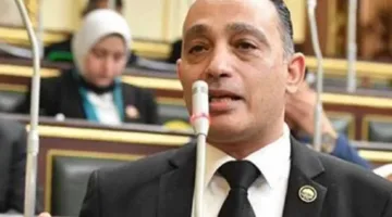 البياضي يُطالب بالتحقيق مع رئيس الوزراء بسبب تأخر إصدار اللائحة التنفيذية لقانون رعاية كبار السن.