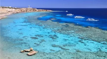 التخطيط: استثمار 20.4 مليار جنيه في 206 مشروعاً تنموياً في مطروح