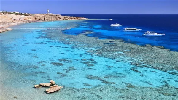 التخطيط: استثمار 20.4 مليار جنيه في 206 مشروعاً تنموياً في مطروح التخطيط: استثمار 20.4 مليار جنيه في 206 مشروعاً تنموياً في مطروح