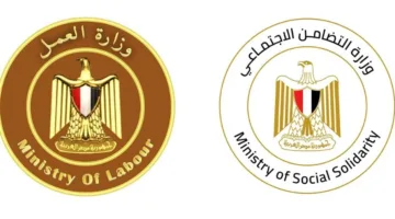 التضامن والعمل تكملان خطوات صرف التعويضات لضحايا ومصابي حادث طريق أشمون