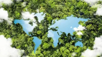 التضخم البيئي: تكلفة الاستدامة الاقتصادية وهل يؤدي التحول نحو الاقتصاد الأخضر إلى إفلاس بعض الدول؟