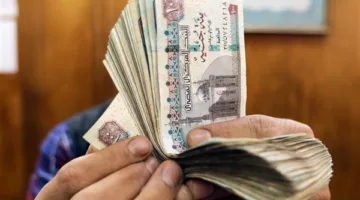 التطبيق في الشهر القادم.. مكافأة إضافية للموظفين الحكوميين وزيادة دورية