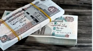 التطبيق في الشهر المقبل.. وزارة المالية تعلن عن مفاجأة للعاملين في القطاعين الحكومي والخاص.