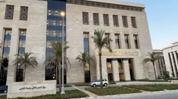 التعليم العالي يقدم مشروع “كرتون النخيل” في إطار سلسلة “بديل المستورد 2025”
