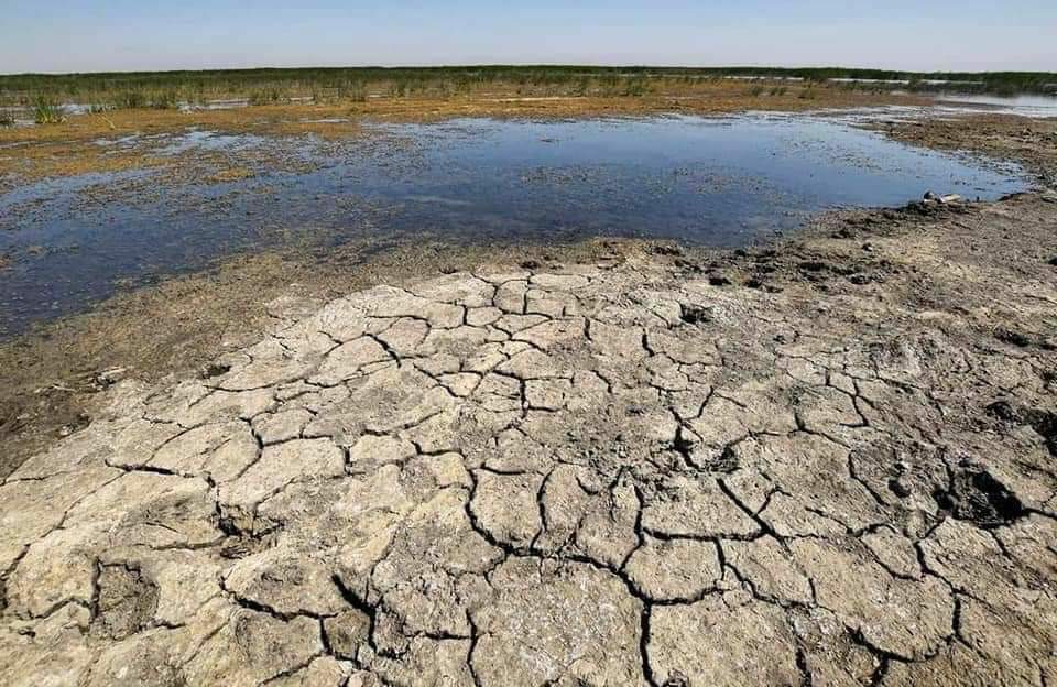منظمة التعاون الاقتصادي: المناطق المتأثرة بالجفاف زادت بمقدار الضعف خلال 120 سنة منظمة التعاون الاقتصادي: المناطق المتأثرة بالجفاف زادت بمقدار الضعف خلال 120 سنة