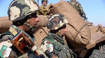 الجيش الجزائري يحجز كميات كبيرة من المخدرات في المنطقة الشرقية.
