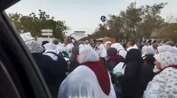 الحج 2025: انسيابية تامة في تدفق الحجاج دون أي خروق.