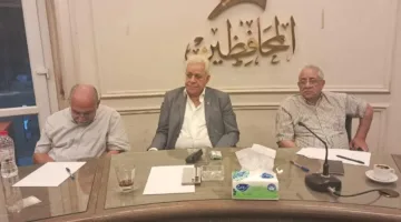 الحركة المدنية الديمقراطية: نتمسك بالانتخابات بحزمة برامج مستقلة ونعارض قوائم الحكومة