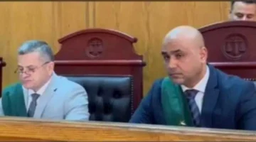 الحكم بالسجن 6 سنوات على ربة منزل ومالك مصنع رخام بتهمة التسبب في عاهة دائمة