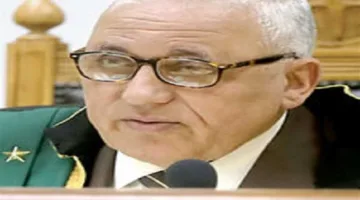 الحكم مدى الحياة على متهمة بالارتباط بجماعة إرهابية في الهرم