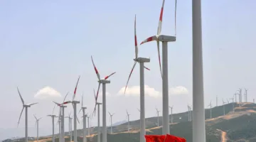 الحكومة البريطانية تتراجع عن استمرار مشروع تزويد المغرب بالطاقة الشمسية