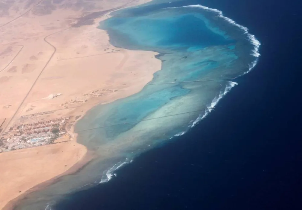 الحكومة المصرية توضح موقفها بشأن بيع قطعة أرض كبيرة في البحر الأحمر الحكومة المصرية توضح موقفها بشأن بيع قطعة أرض كبيرة في البحر الأحمر