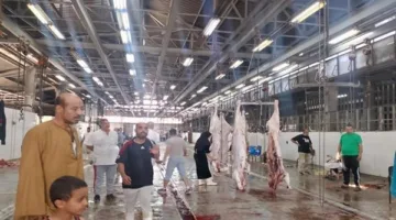 الحكومة تؤكد على مراقبة ذبح الأضاحي وضمان صحة اللحوم خلال العيد