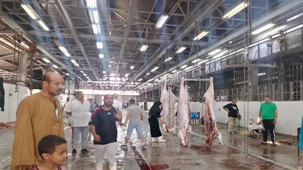 الحكومة تؤكد على مراقبة ذبح الأضاحي وضمان صحة اللحوم خلال العيد الحكومة تؤكد على مراقبة ذبح الأضاحي وضمان صحة اللحوم خلال العيد