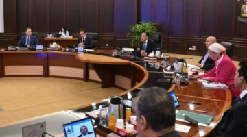 الحكومة توافق على رفع المساهمة السنوية لصندوق التأمينات إلى 238.5 مليار جنيه اعتبارًا من يوليو 2025.