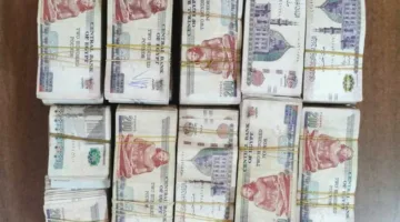 الداخلية: القبض على قضايا تهريب العملات الأجنبية بقيمة 7 ملايين جنيه خلال 24 ساعة