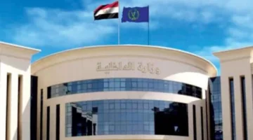 الداخلية تكشف ملابسات فيديو اعتداء بسكين على سيدة وعائلتها في كفر الشيخ