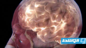الدماغ يطلق توهجاً خافتاً يعكس حالته وأداءه.. ما التفاصيل؟