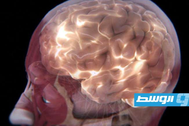 الدماغ يطلق توهجاً خافتاً يعكس حالته وأداءه.. ما التفاصيل؟ الدماغ يطلق توهجاً خافتاً يعكس حالته وأداءه.. ما التفاصيل؟