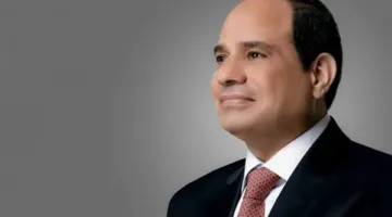 الرئيس السيسي: أهمية التنفيذ الفوري لوقف إطلاق النار في غزة وتقديم المساعدات الإنسانية