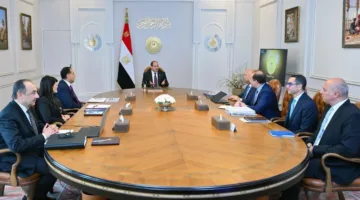 الرئيس السيسي يأمر بالاستمرار في تعزيز وتطوير كفاءة الشركات التابعة للقطاع العام.