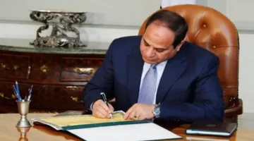 الرئيس السيسي يصادق على قانون لتحديد نسبة الزيادة السنوية في الأجور