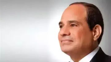 الرئيس السيسي يعود إلى مصر بعد زيارته للإمارات