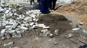“الزراعة”: القضاء على 20 حالة تعدٍ مبكر في عدة محافظات