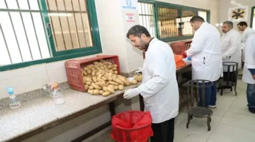 الزراعة تُعلن عن فحص 1.3 مليون طن من البطاطس المخصصة للتصدير إلى الأسواق الخارجية