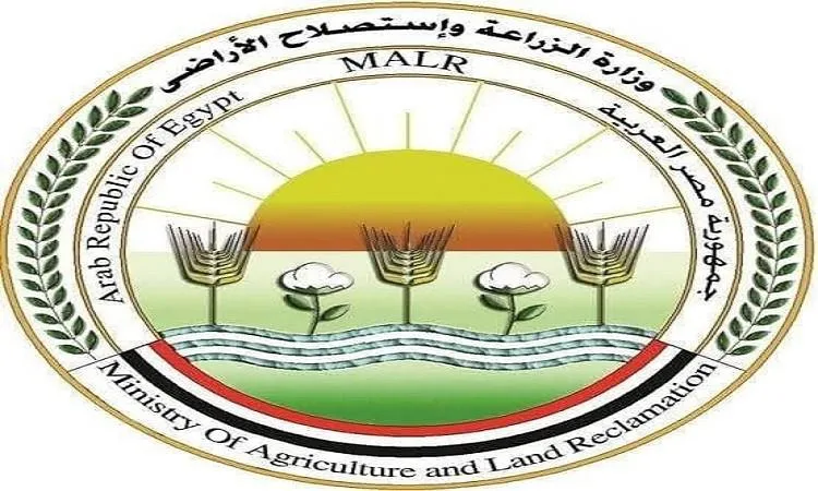 الزراعة: ليس هناك نقص في إمدادات الأعلاف المحلية والمستوردة الزراعة: ليس هناك نقص في إمدادات الأعلاف المحلية والمستوردة