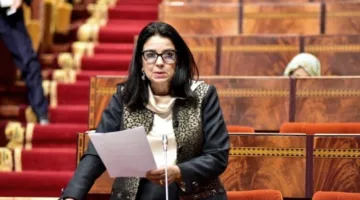 السغروشني: الخبرات المحلية تُشكل مستقبل المغرب الرقمي اليوم