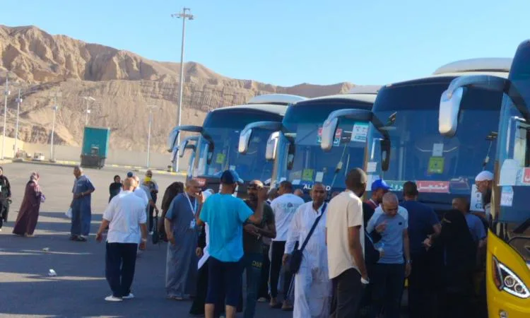 السياحة: بدء أولى رحلات عودة حجاج الحج البري السياحي السياحة: بدء أولى رحلات عودة حجاج الحج البري السياحي