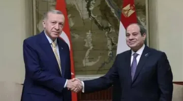 السيسي وأردوغان ينبهان من خطر انزلاق الشرق الأوسط نحو الفوضى الشاملة