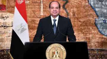 السيسي يأمر باستمرار تطوير وتعزيز كفاءة الشركات التابعة للقطاع العام.