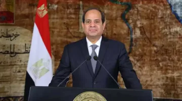 السيسي يبرز أهمية استمرار التعاون مع مؤسسة التمويل الدولية.