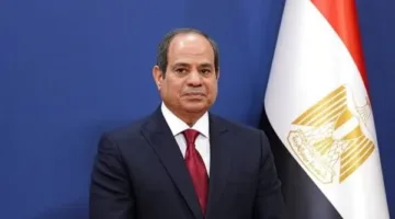 السيسي يناقش مع مؤسسة التمويل الدولية تعزيز الاستثمارات ودعم القطاع الخاص