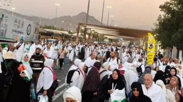 الصحة: تقديم 35,864 خدمة طبية للحجاج المصريين خلال موسم الحج الحالي