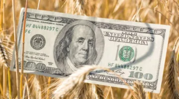 الظروف المناخية تؤثر على أسواق الحبوب أكثر من الأزمات الجيوسياسية