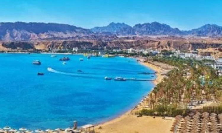 “الغرف السياحية”: جذب المؤثرين الأمريكيين يعزز مكانة مصر كوجهة سياحية مميزة “الغرف السياحية”: جذب المؤثرين الأمريكيين يعزز مكانة مصر كوجهة سياحية مميزة