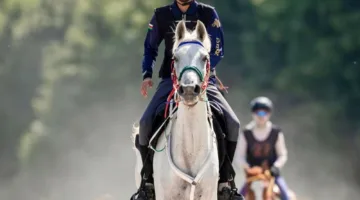 الفارس علي آل سعيد يتأهل مجددًا لنهائي كأس العالم في رياضة القدرة والتحمل