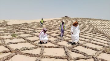 الفاو تؤكد استمرار دعمها لاستعادة الأراضي وتعزيز القدرة على التكيف.