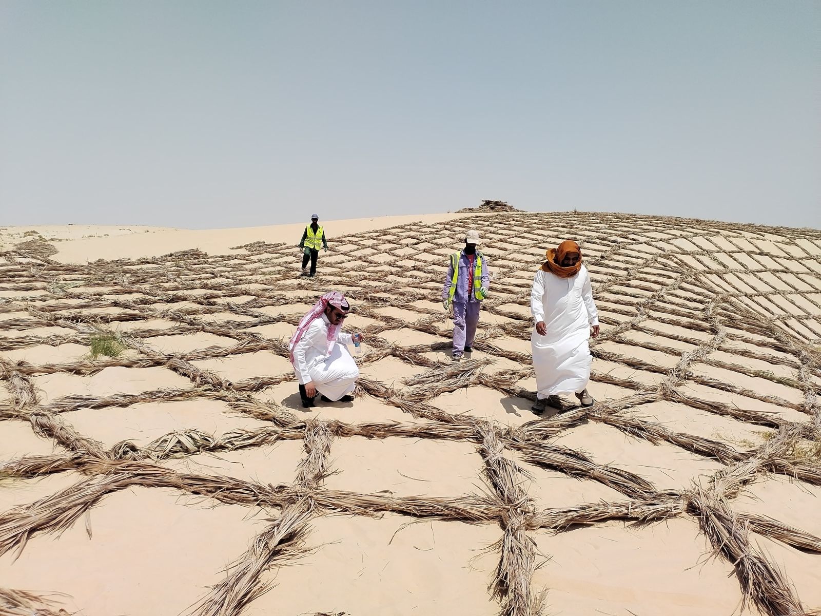 الفاو تؤكد استمرار دعمها لاستعادة الأراضي وتعزيز القدرة على التكيف. الفاو تؤكد استمرار دعمها لاستعادة الأراضي وتعزيز القدرة على التكيف.