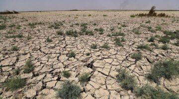 الفاو: تراجع أكثر من 46 مليون هكتار من الأراضي الزراعية في الدول العربية