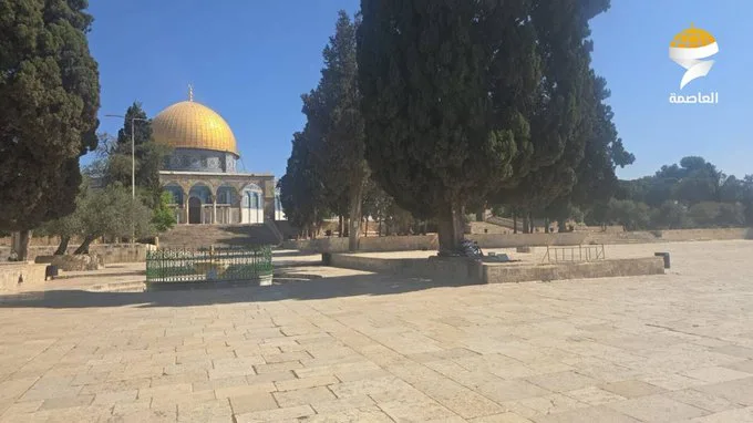 القدس المحتلة: الاحتلال يفرض حصارًا على المدينة ويستمر في منع دخول المصلين إلى الأقصى القدس المحتلة: الاحتلال يفرض حصارًا على المدينة ويستمر في منع دخول المصلين إلى الأقصى