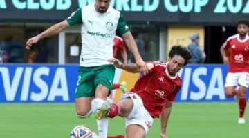 القصة الشاملة حول اعتقال مشجع الأهلي المصري في بطولة كأس العالم للأندية