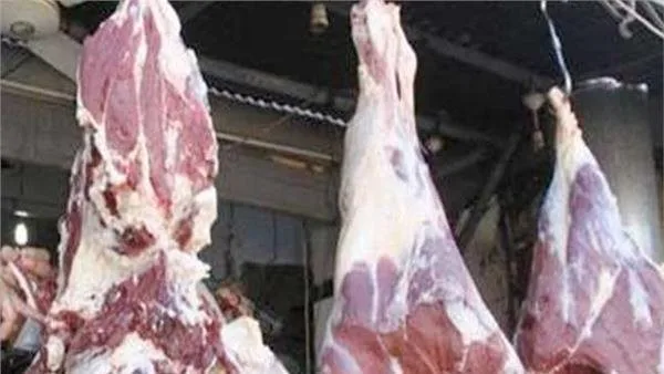 المجازر الآلية في أسوان تستقبل 808 أضاحي في اليوم الثاني من العيد المجازر الآلية في أسوان تستقبل 808 أضاحي في اليوم الثاني من العيد