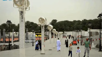 المدينة المنورة: مقصداً سياحياً وروحياً تحت شعار “وجهة طيبة”  
                                                            
12 يونيو 2025 | 06:14 مساءً