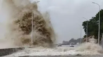 المركز الأمريكي للأعاصير ينبه من احتمال حدوث عاصفة مدارية على سواحل خليج المكسيك.