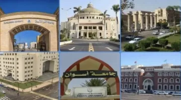 المركز الإعلامي لمجلس الوزراء: الجامعات الحكومية تملكها الدولة ولا توجد خطط لخصخصتها